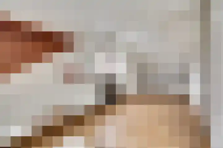 Erasmustuin 9 Capelle aan den IJssel thumbnail 30