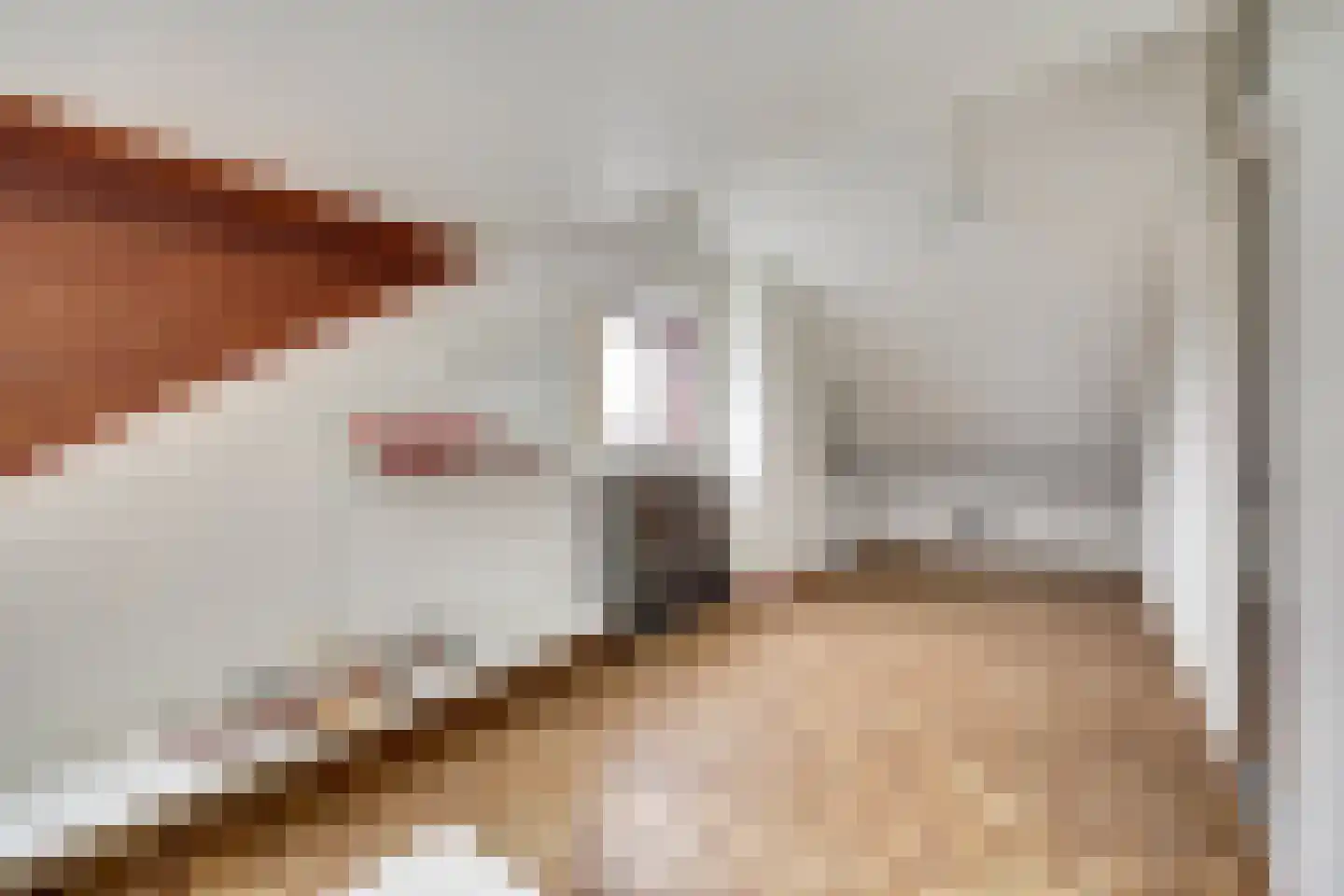 Erasmustuin 9 Capelle aan den IJssel thumbnail 30