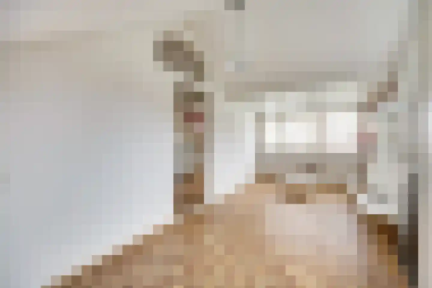 Erasmustuin 9 Capelle aan den IJssel thumbnail 31