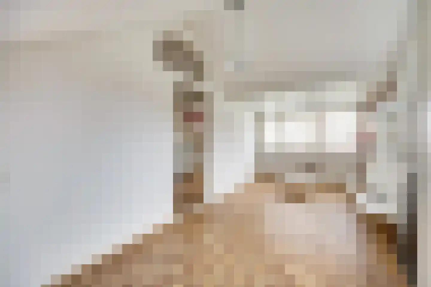 Erasmustuin 9 Capelle aan den IJssel thumbnail 31