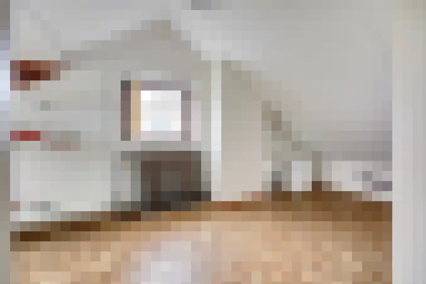 Erasmustuin 9 Capelle aan den IJssel thumbnail 32
