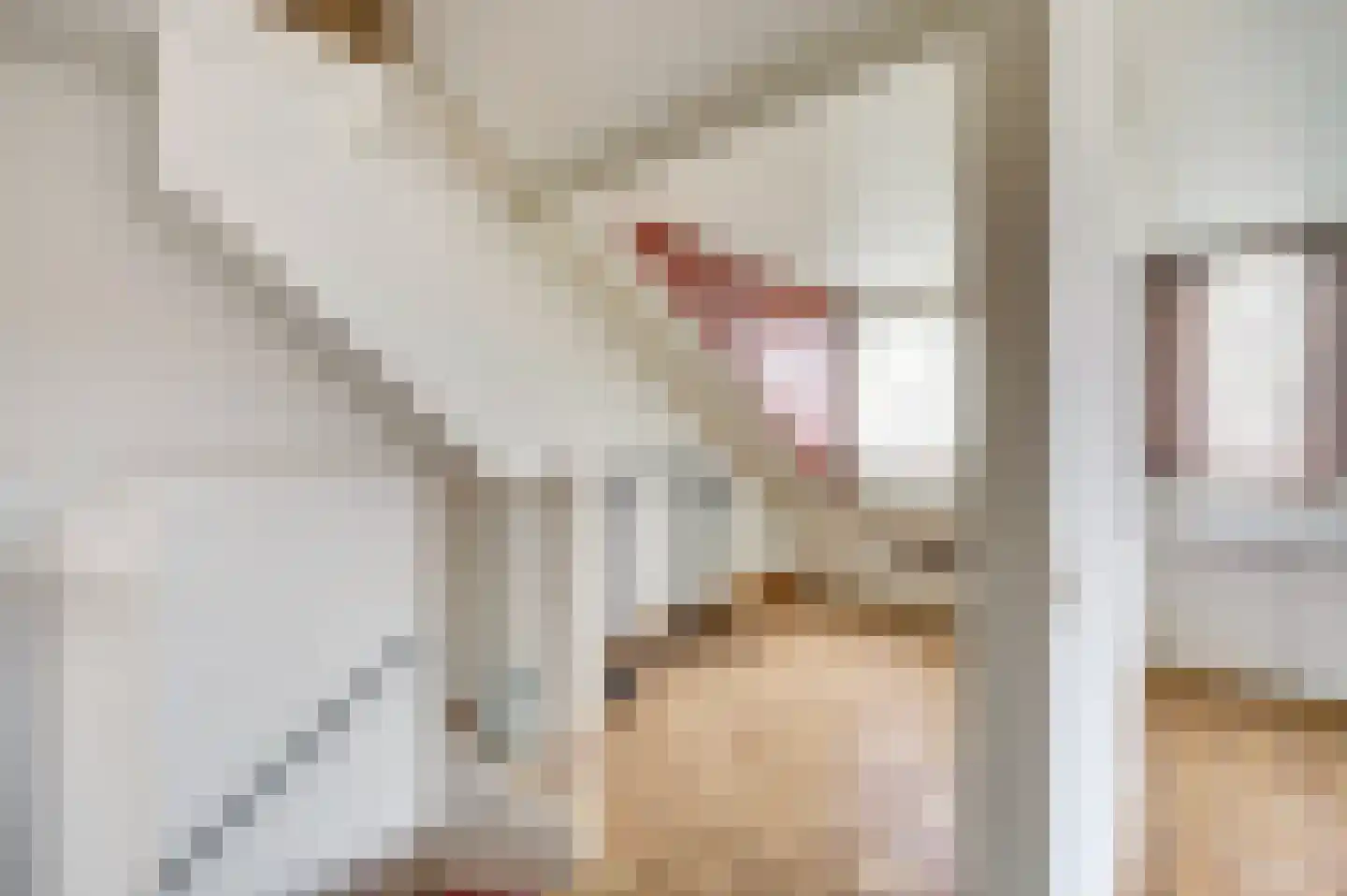 Erasmustuin 9 Capelle aan den IJssel thumbnail 34