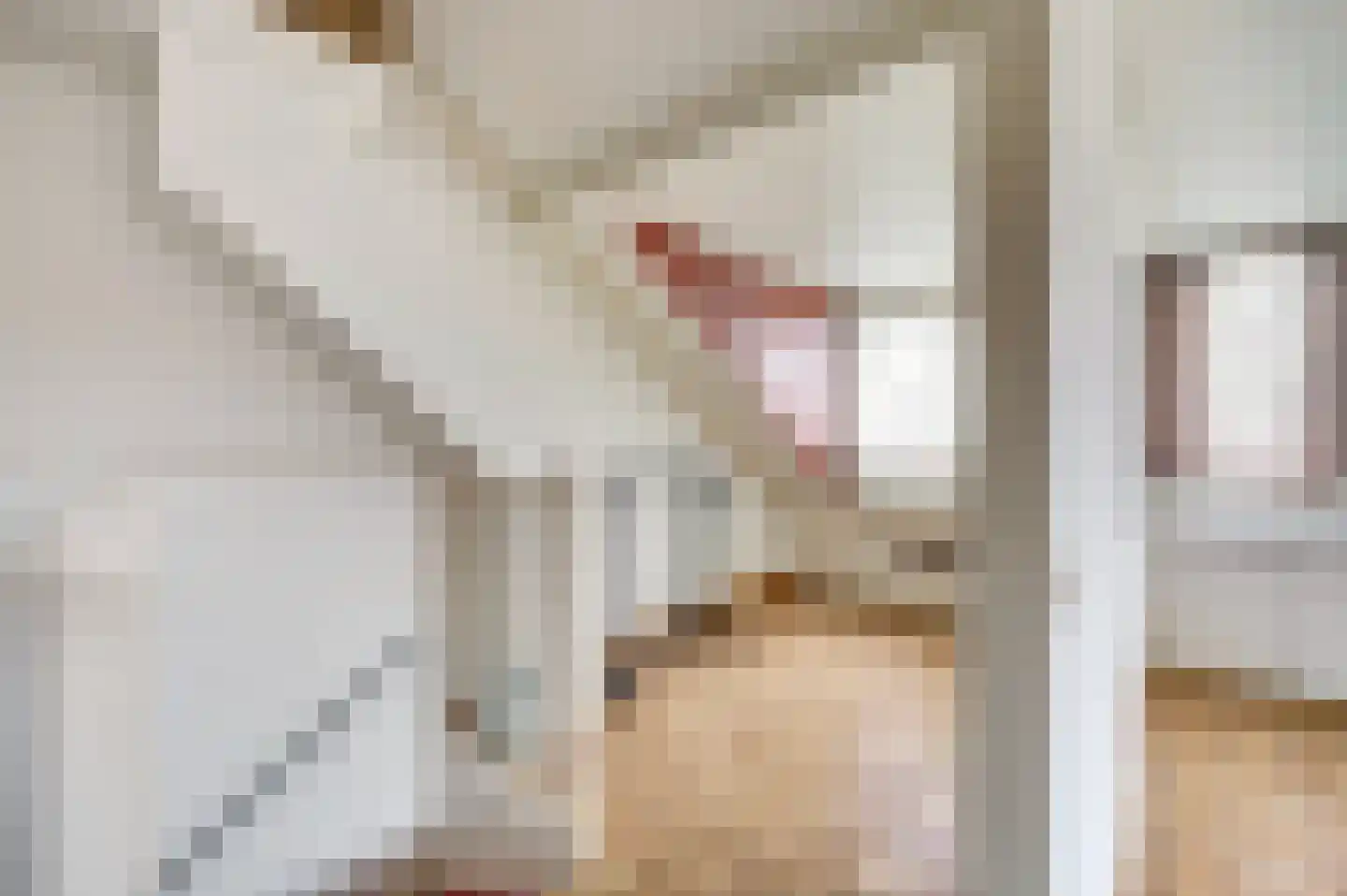 Erasmustuin 9 Capelle aan den IJssel thumbnail 34