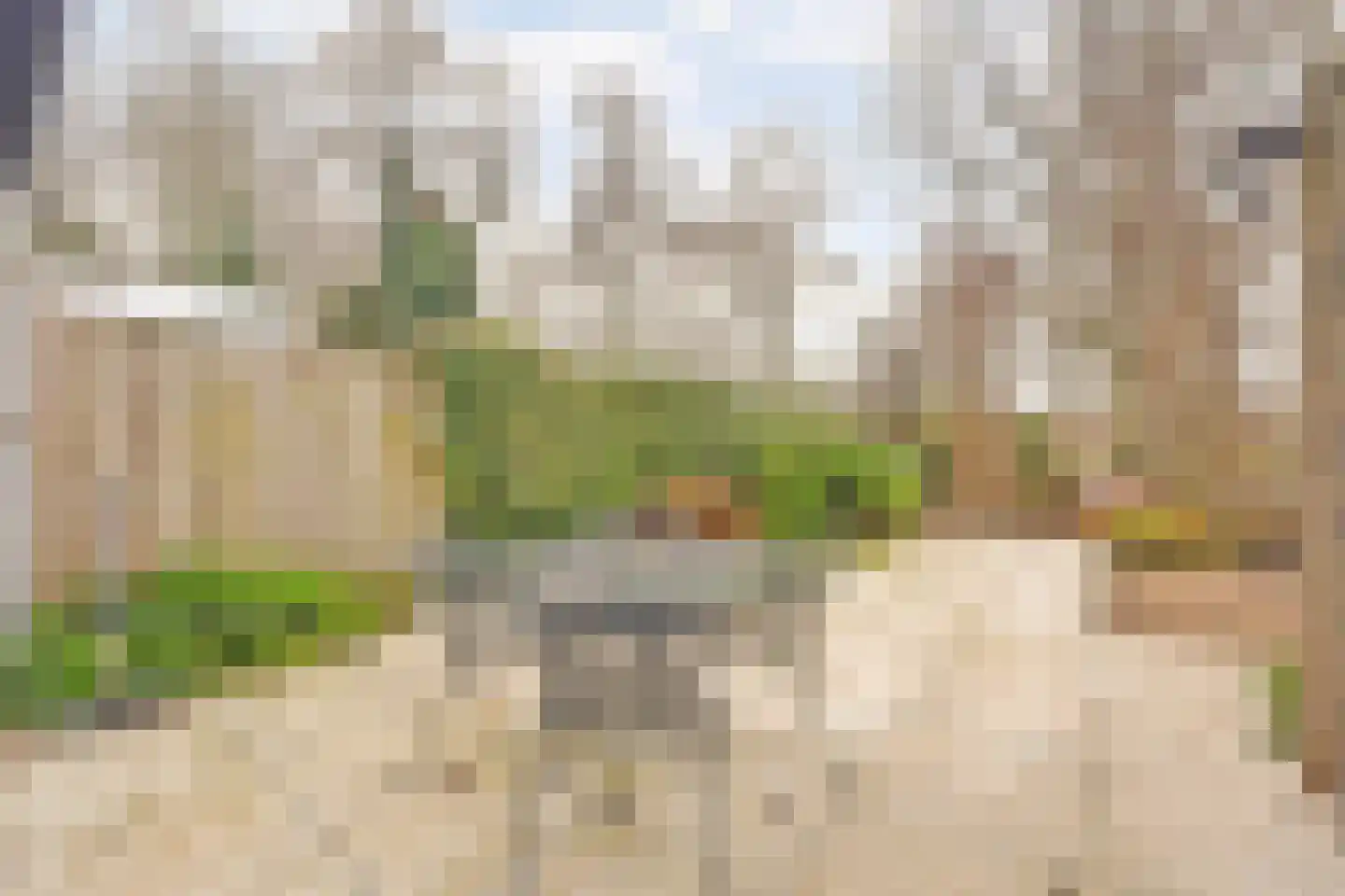 Erasmustuin 9 Capelle aan den IJssel thumbnail 35