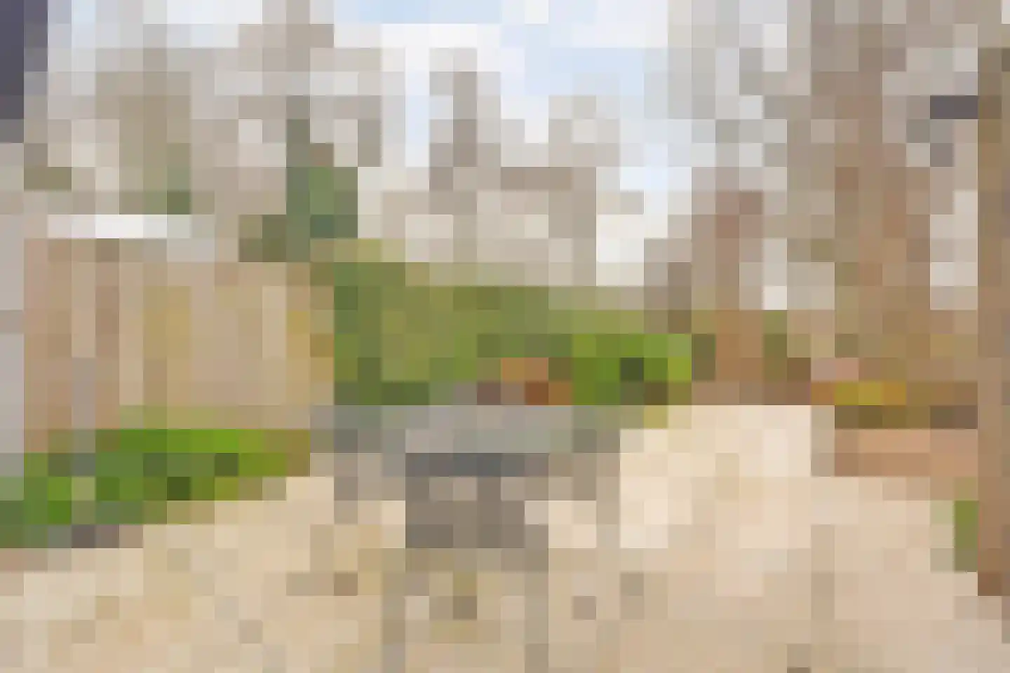 Erasmustuin 9 Capelle aan den IJssel thumbnail 35