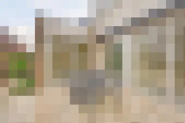 Erasmustuin 9 Capelle aan den IJssel thumbnail 36