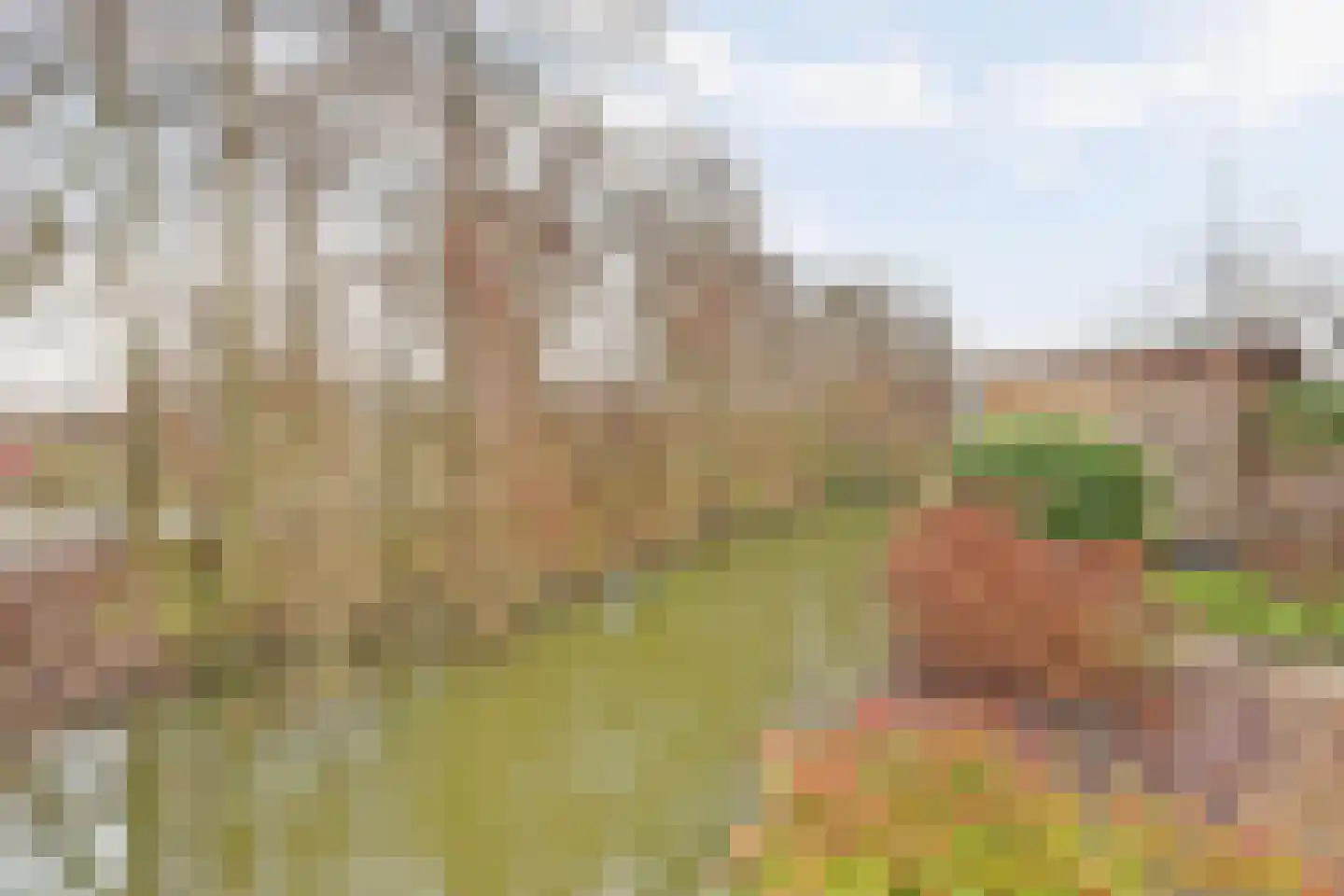Erasmustuin 9 Capelle aan den IJssel thumbnail 37