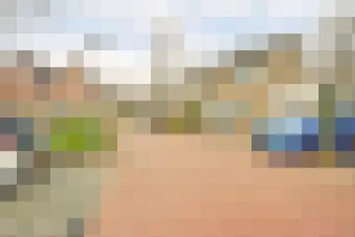 Erasmustuin 9 Capelle aan den IJssel thumbnail 39