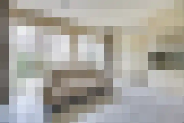 Erasmustuin 9 Capelle aan den IJssel thumbnail 4