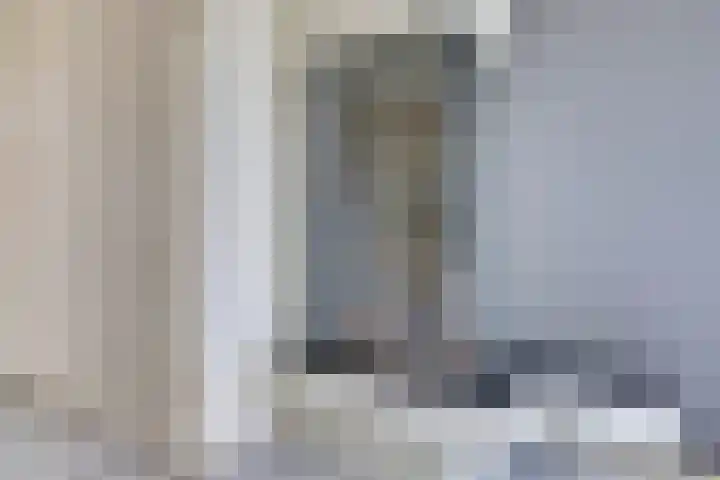 Erasmustuin 9 Capelle aan den IJssel thumbnail 6