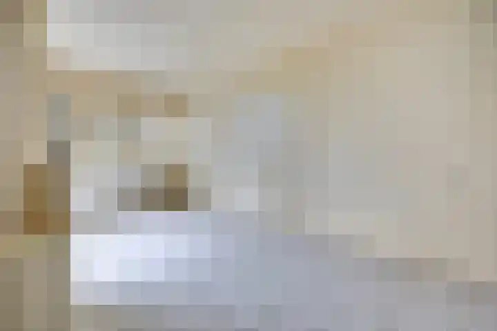 Erasmustuin 9 Capelle aan den IJssel thumbnail 7