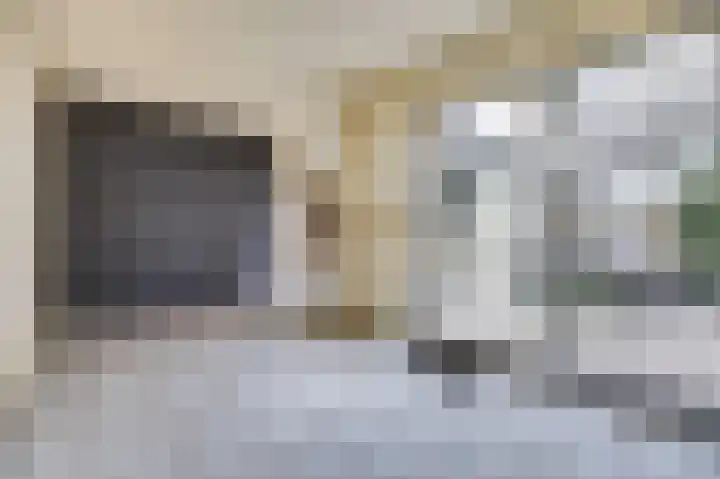 Erasmustuin 9 Capelle aan den IJssel thumbnail 9