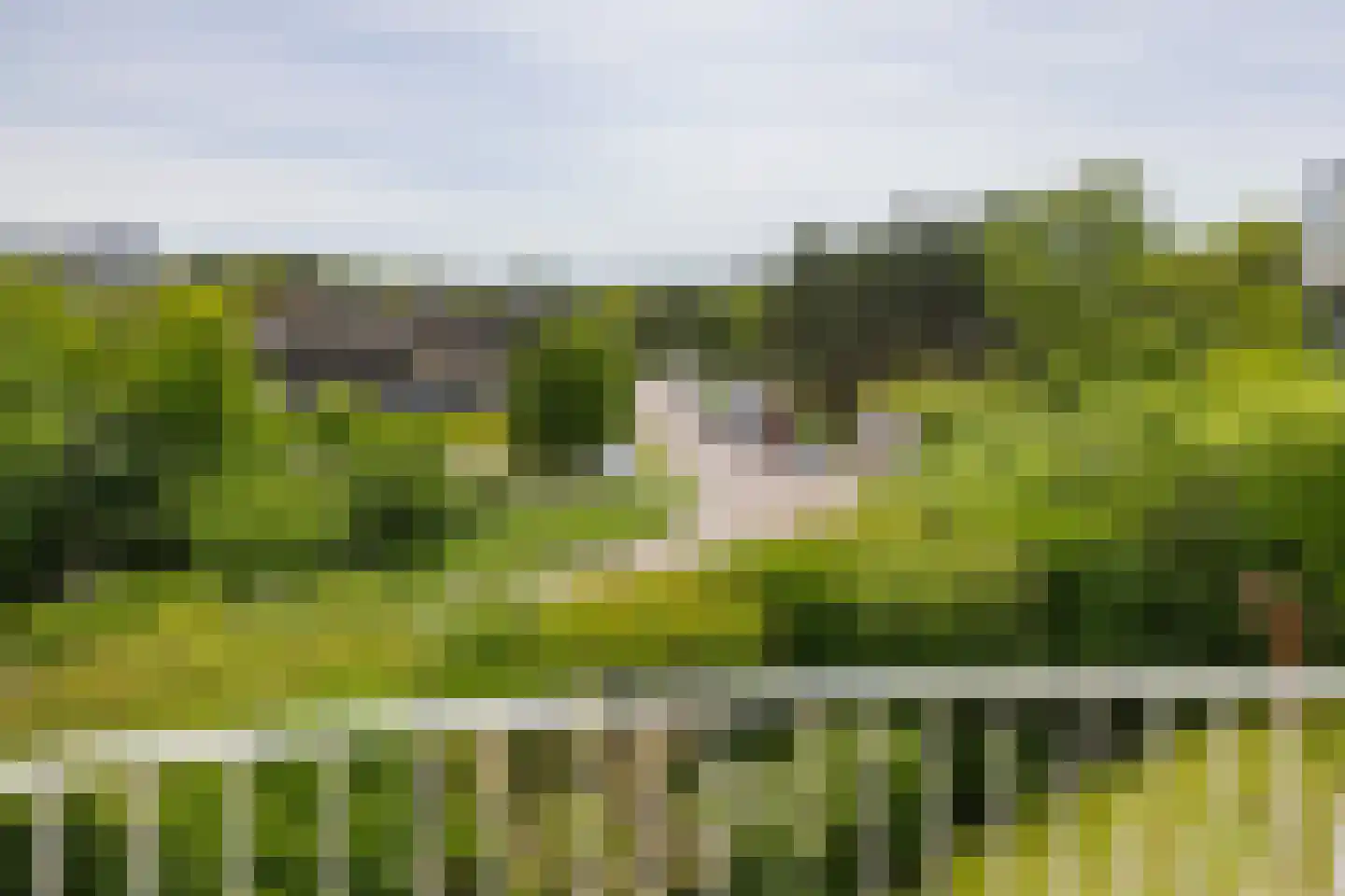 Erasmusweg 11 Noordwijk thumbnail 21