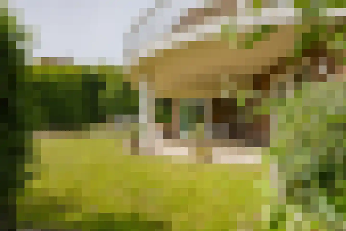 Erasmusweg 11 Noordwijk thumbnail 36