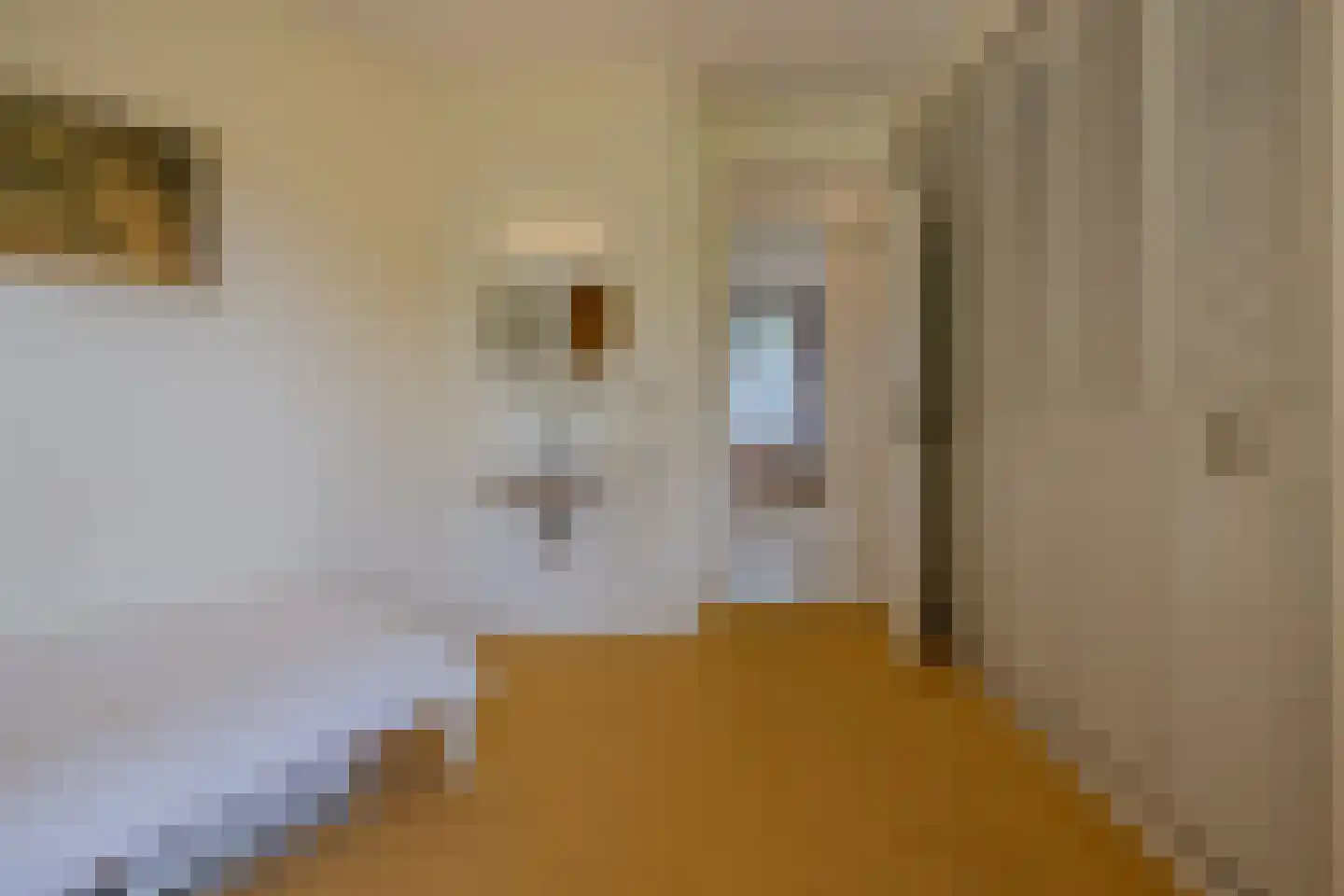Erasmusweg 11 Noordwijk thumbnail 39