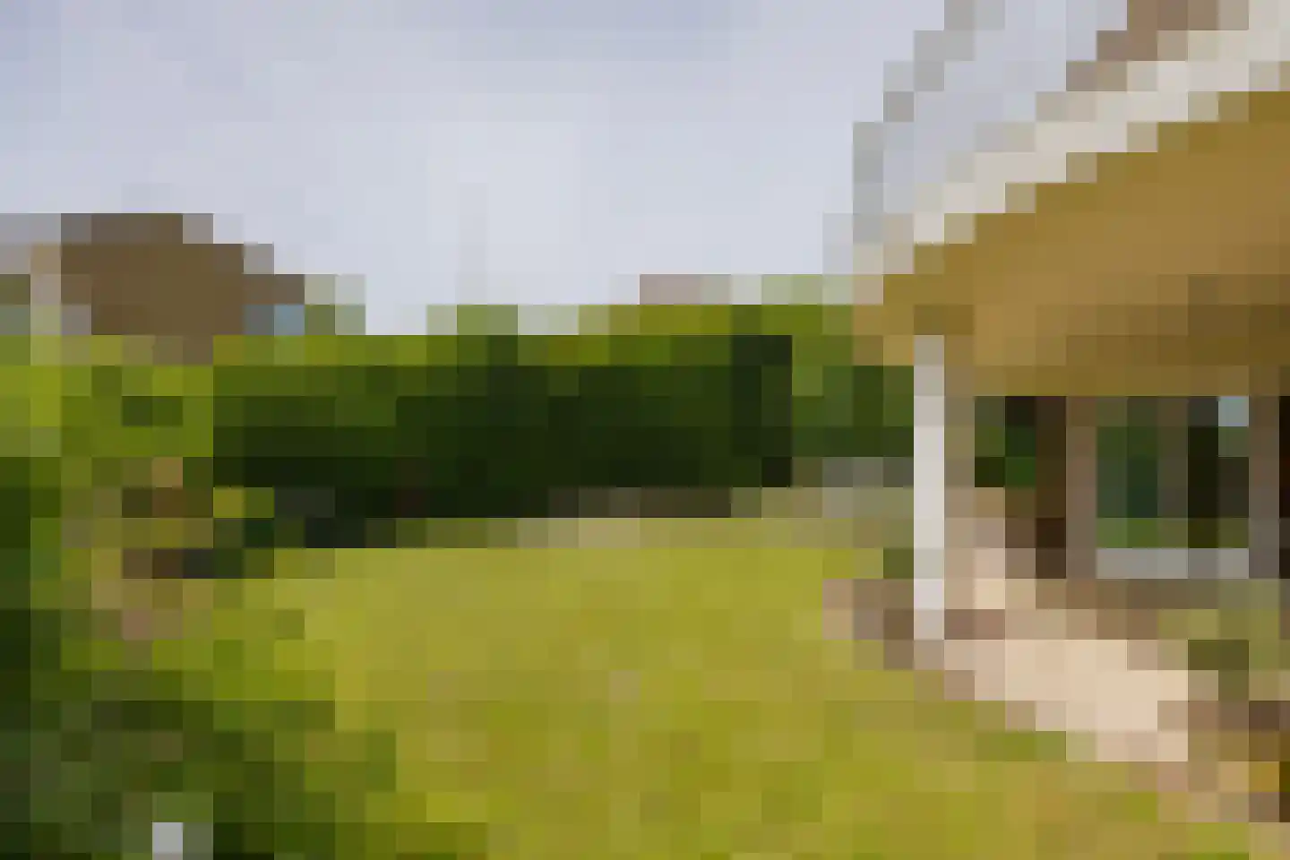 Erasmusweg 11 Noordwijk thumbnail 42