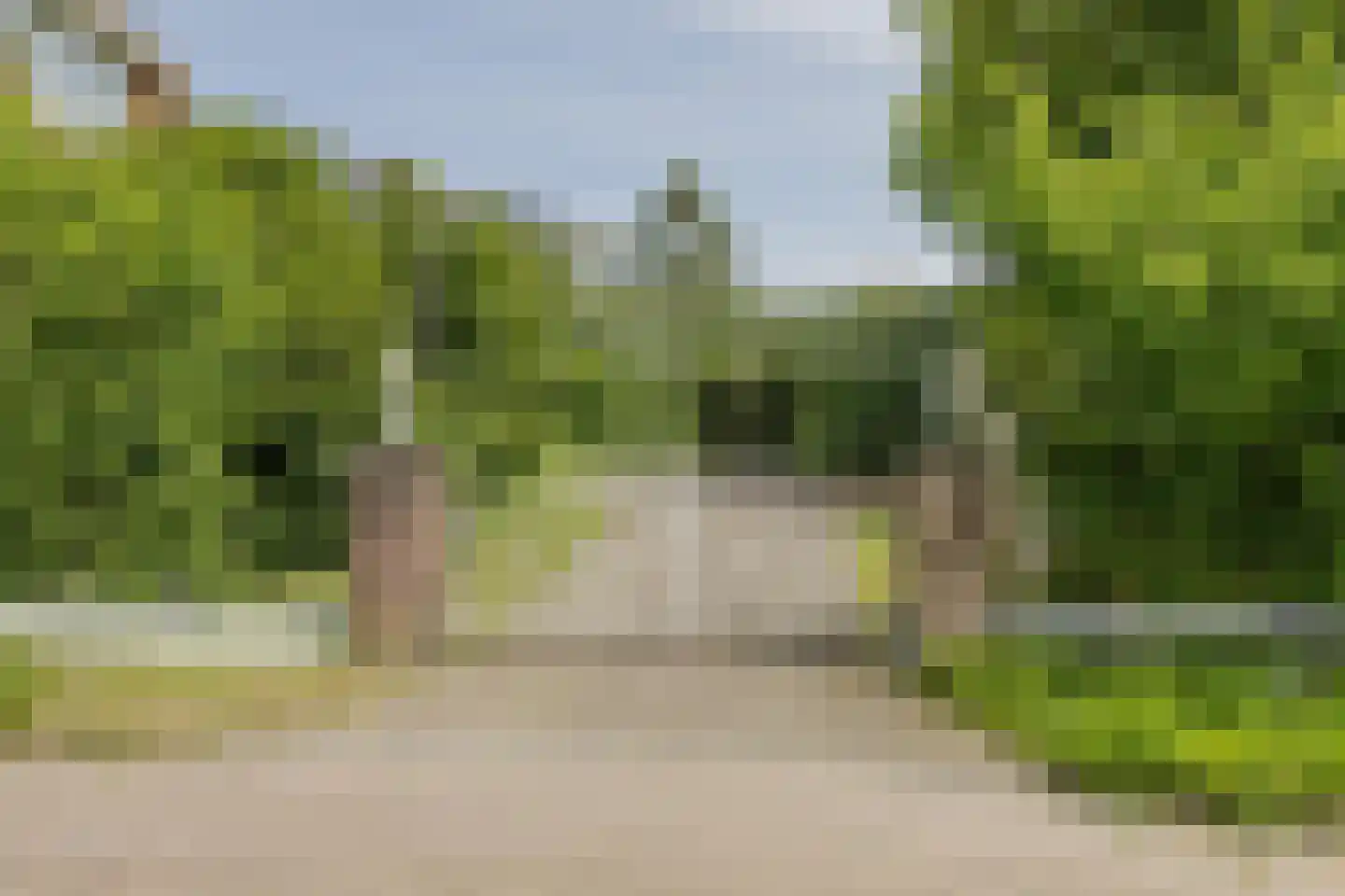 Erasmusweg 11 Noordwijk thumbnail 54