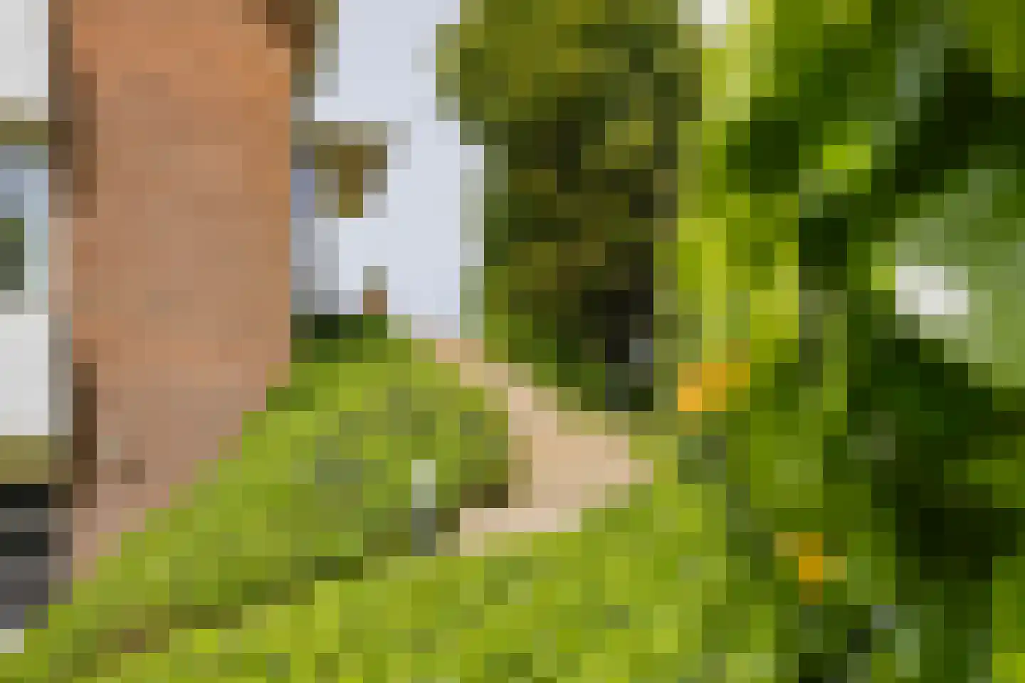 Erasmusweg 11 Noordwijk thumbnail 63