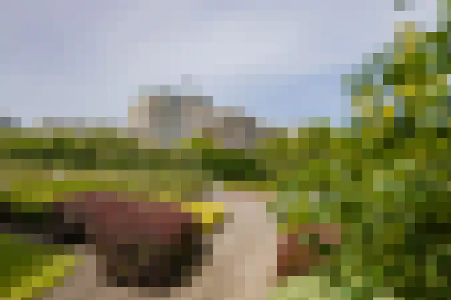 Erasmusweg 11 Noordwijk thumbnail 64