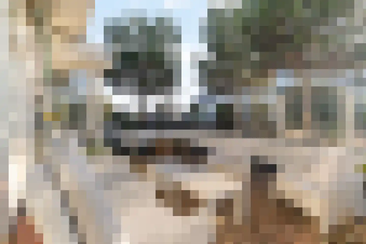 Erasmusweg 12 Noordwijk thumbnail 4