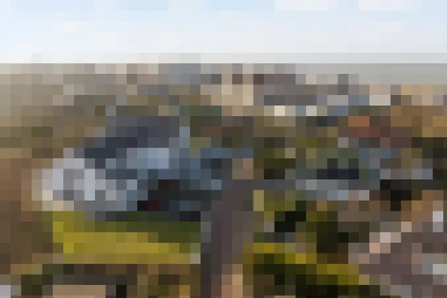 Erasmusweg 12 Noordwijk thumbnail 40