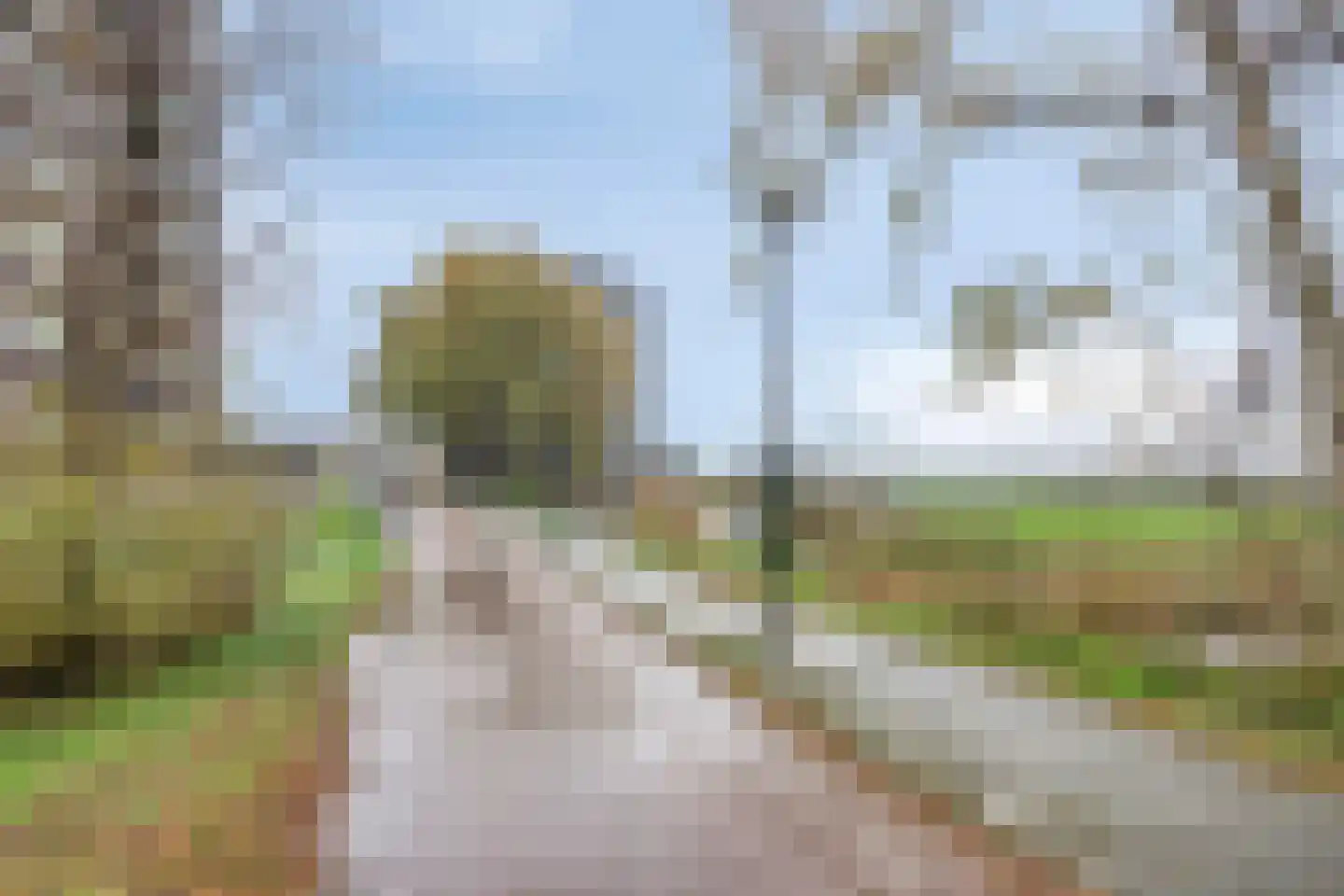 Erasmusweg 1903 Den Haag thumbnail 38