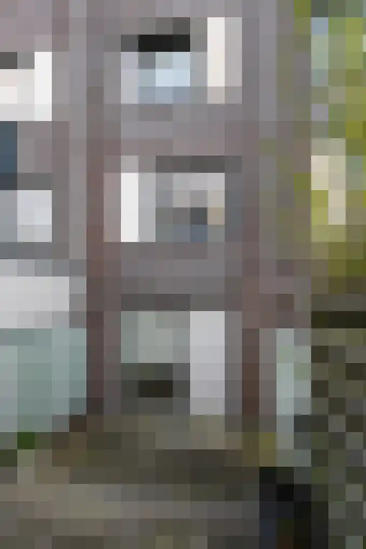 Erasmusweg 1949 Den Haag thumbnail 19