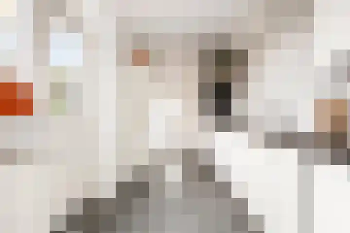 Erasmusweg 21 Hoogezand thumbnail 18