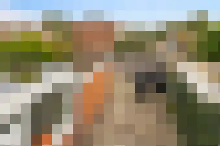 Erasmusweg 21 Hoogezand thumbnail 31