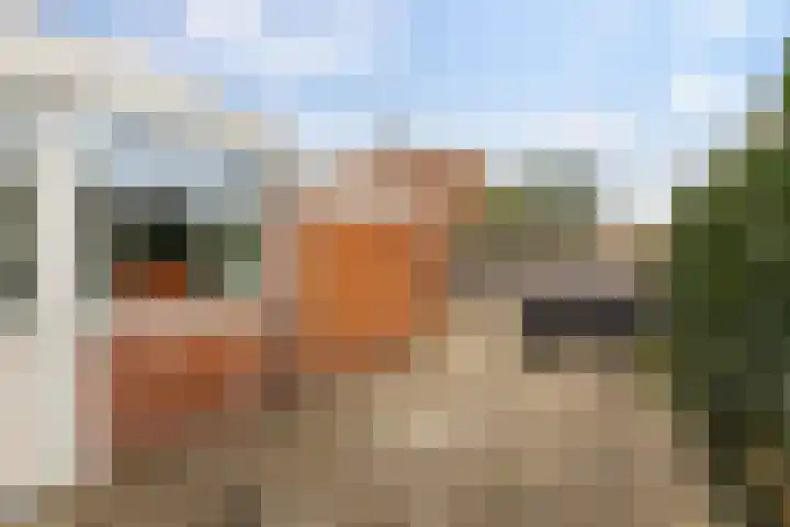 Erasmusweg 21 Hoogezand thumbnail 32