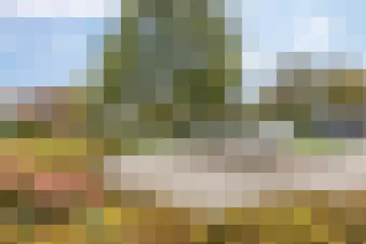 Erasmusweg 21 Hoogezand thumbnail 37