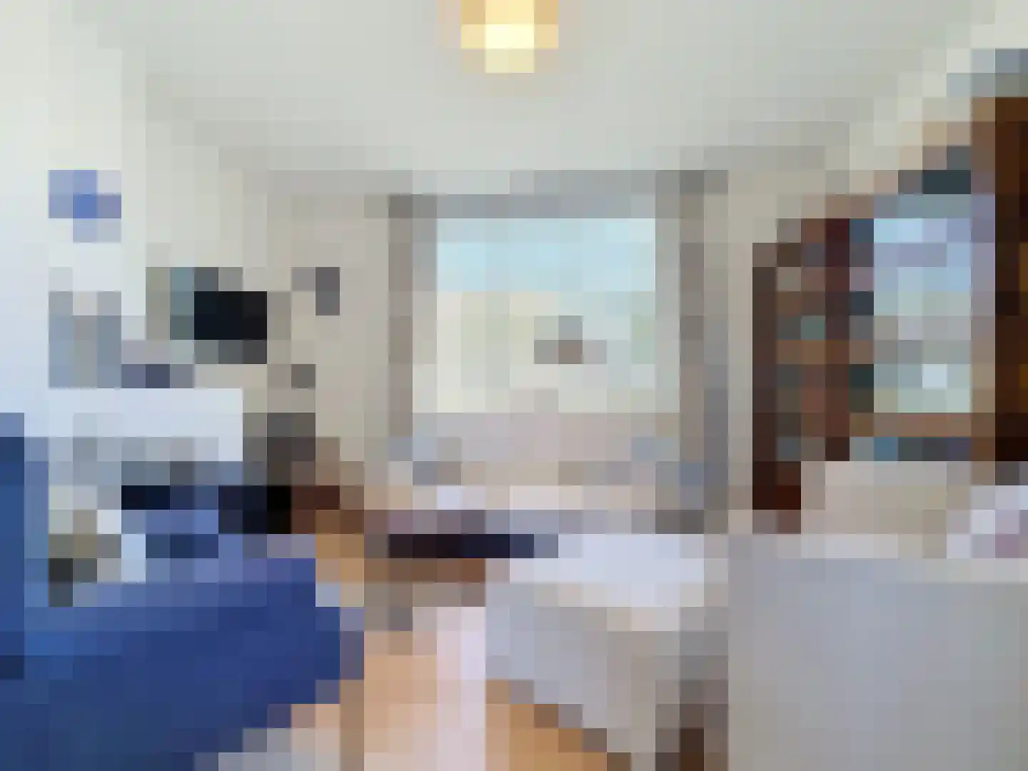 Erasmusweg 3 Cadzand thumbnail 5