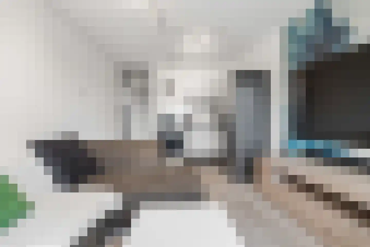 Erasmusweg 3 Den Haag thumbnail 11