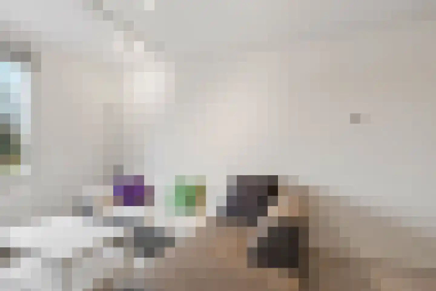 Erasmusweg 3 Den Haag thumbnail 9