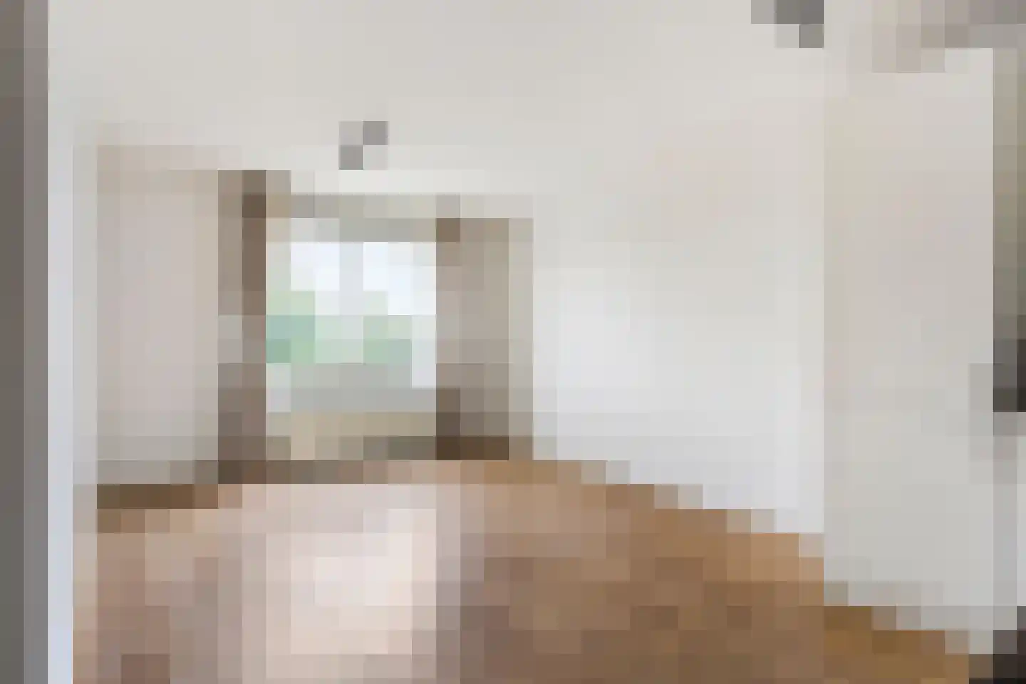 Erasmusweg 3 E Den Haag thumbnail 7
