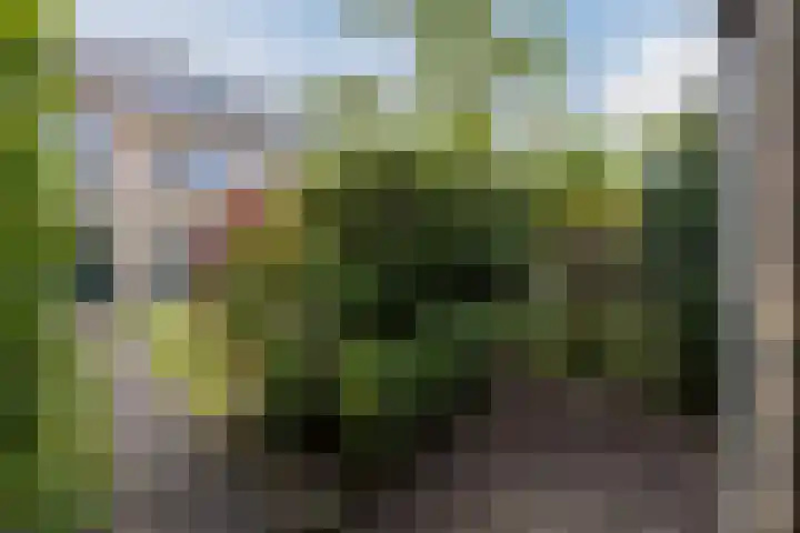 Erasmusweg 49 Breda thumbnail 30