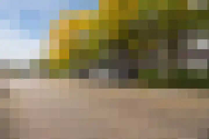 Erasmusweg 49 Breda thumbnail 32