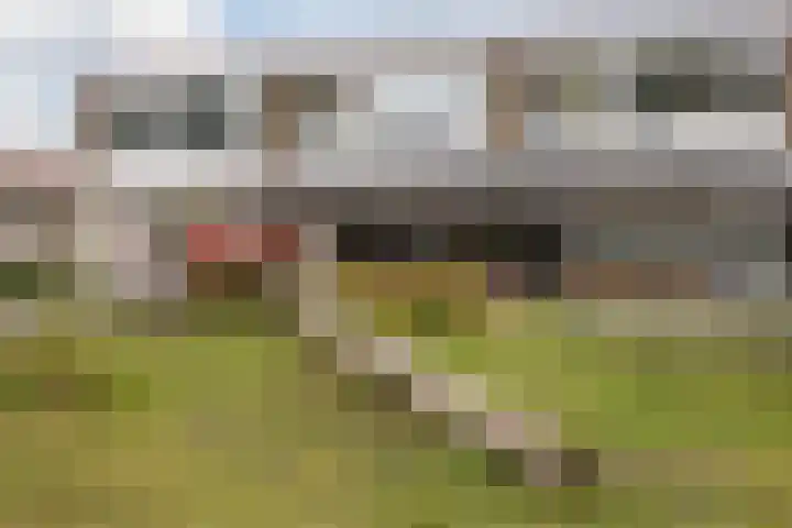 Erasmusweg 49 Breda thumbnail 34