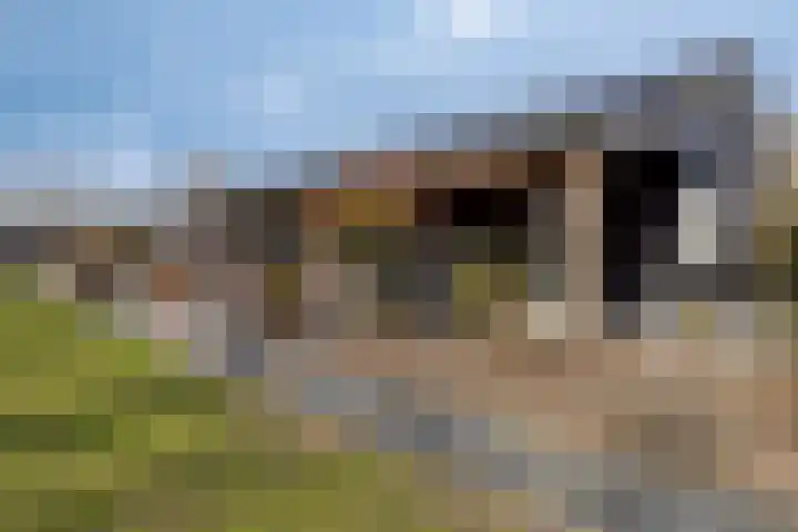 Erasmusweg 5 Lepelstraat thumbnail 31