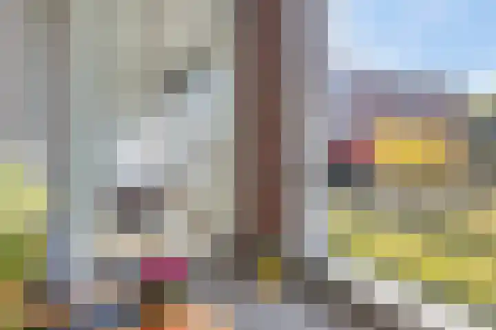 Erasplaats 17 Tilburg thumbnail 18