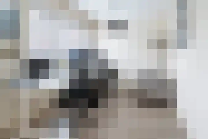 Erasplaats 82 Tilburg thumbnail 16
