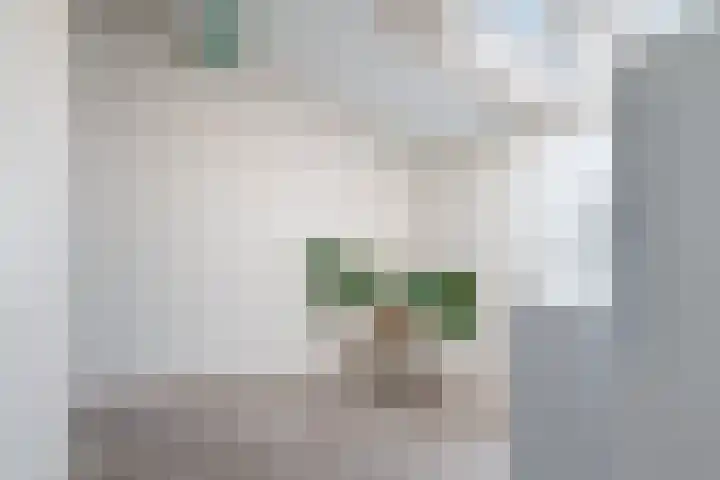 Erasplaats 82 Tilburg thumbnail 24