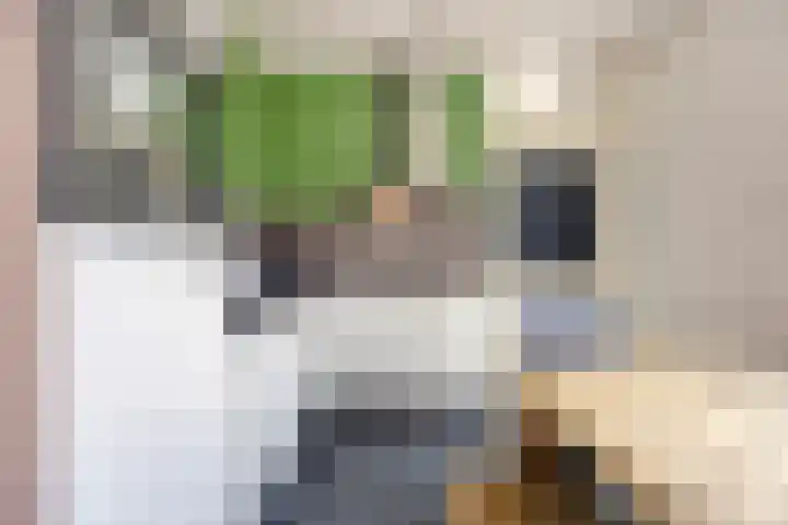 Erasplaats 90 Tilburg thumbnail 12