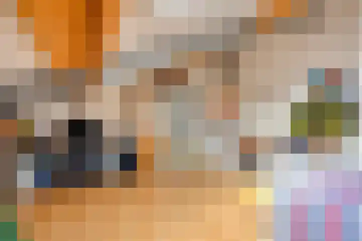 Erasplaats 90 Tilburg thumbnail 30
