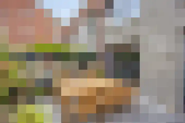 Erasplaats 90 Tilburg thumbnail 36
