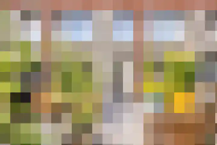 Erasplaats 90 Tilburg thumbnail 37
