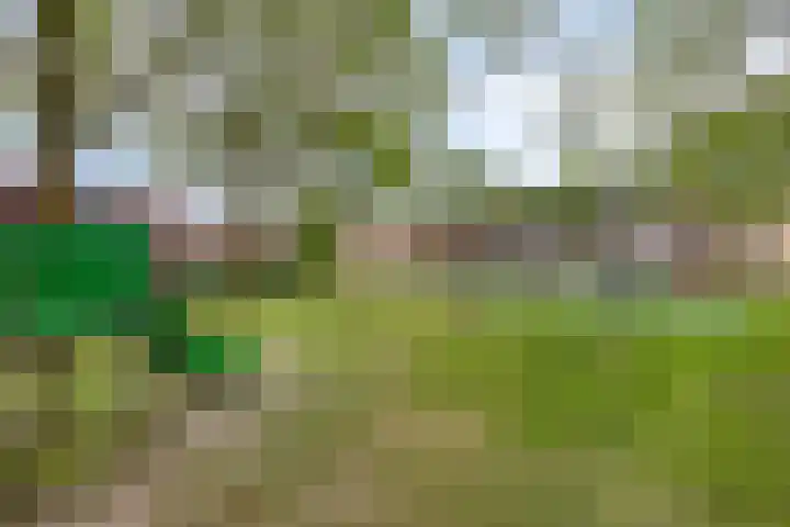 Erasplaats 90 Tilburg thumbnail 42