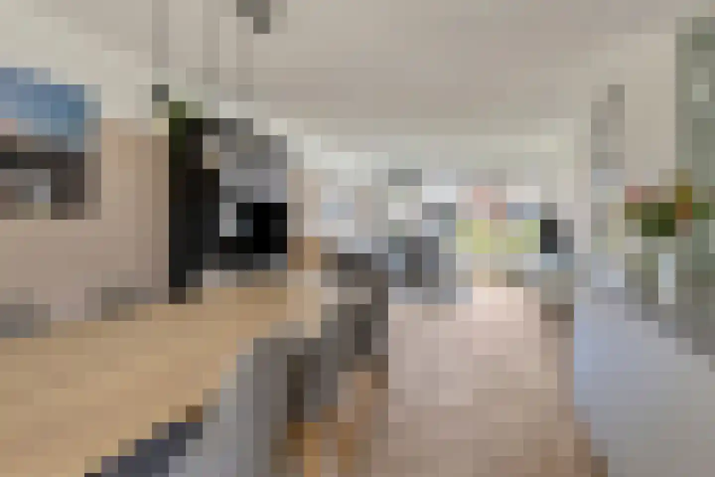 Erckelentsgoed 8 Maasbree thumbnail 12