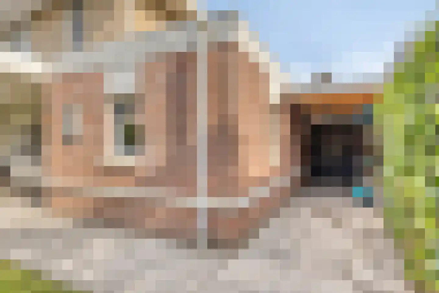 Erckelentsgoed 8 Maasbree thumbnail 23