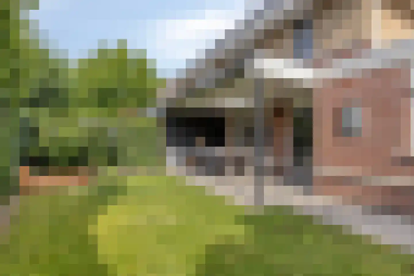 Erckelentsgoed 8 Maasbree thumbnail 24